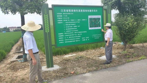 田園牧歌新旋律 農技推廣服務構筑現代農業新航線