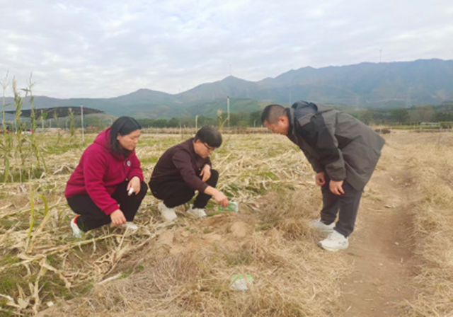 科技特派員 播撒綠色科技種，助力農業高質量發展